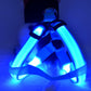 LED Luminous Dog Harness & Leash – Stay Visible at Night - Paw & tail