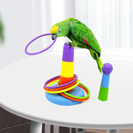 Interactive Parrot Training Toy – Colorful Ring Toss Game