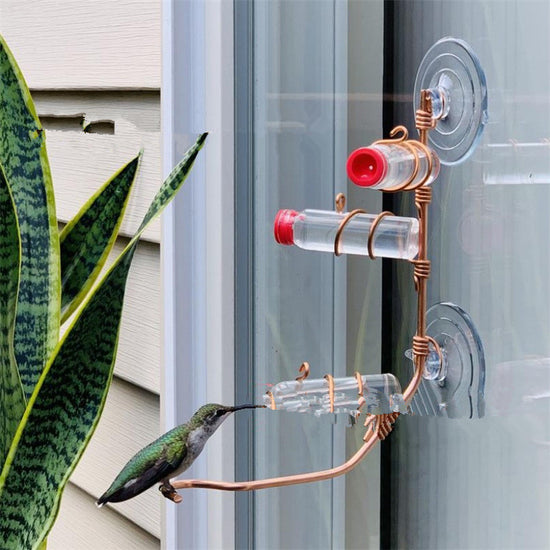 Hummingbird Feeder with Suction Cup – Easy-to-Clean Garden Decor