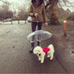 Transparent Dog Umbrella with Leash