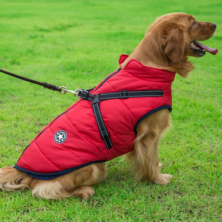 Winter Cotton Vest for Dogs – Chest & Back Integrated Design - Paw & tail