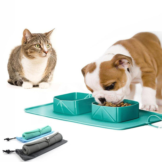 Pet Bowl Silicone Folding Pet Bowl - Paw & tail