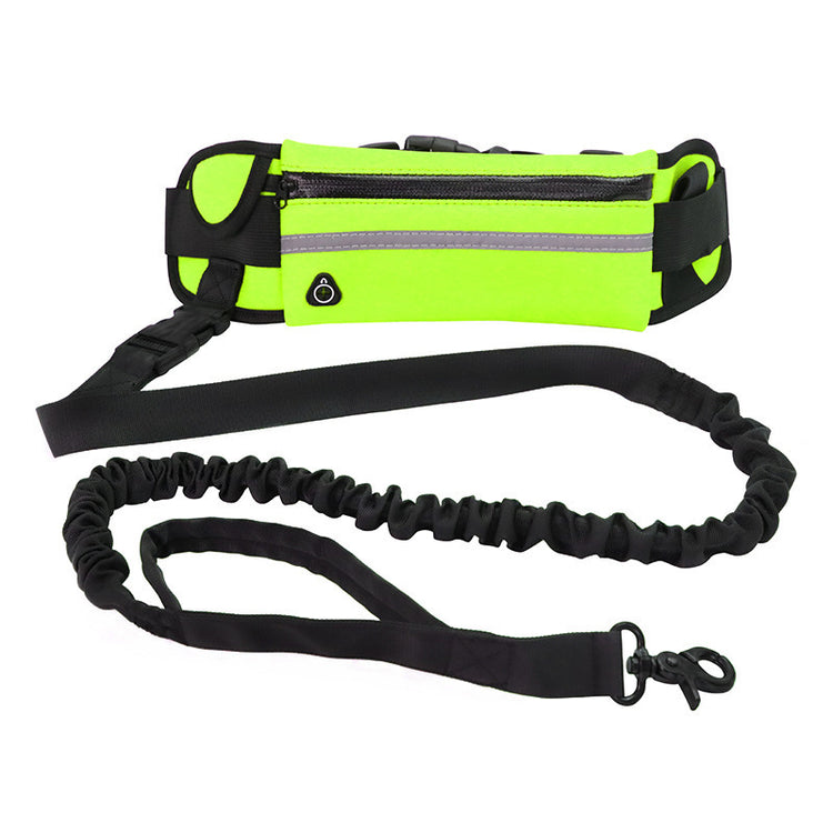 Hands-Free Dog Leash with Bungee for Large Dogs - Paw & tail