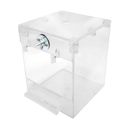 External Transparent Bird Bath for a Refreshing Clean