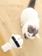 Interactive Smart Cat Toy – Automatic Lifting Teaser Ball - Paw & tail