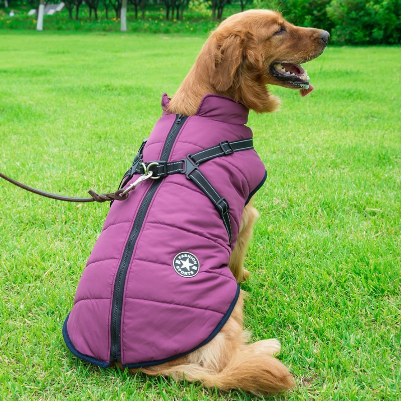 Winter Cotton Vest for Dogs – Chest & Back Integrated Design - Paw & tail