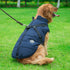 Winter Cotton Vest for Dogs – Chest & Back Integrated Design - Paw & tail