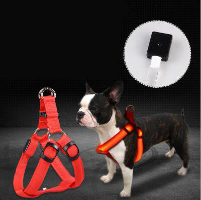 LED Luminous Dog Harness & Leash – Stay Visible at Night - Paw & tail