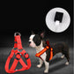 LED Luminous Dog Harness & Leash – Stay Visible at Night - Paw & tail