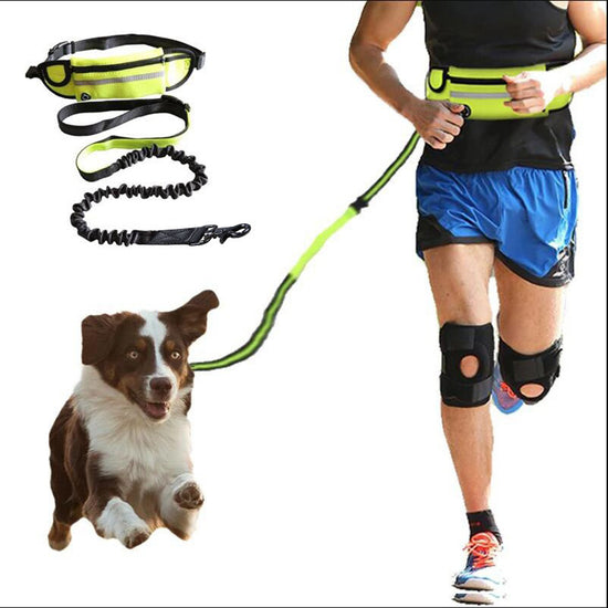 Hands-Free Dog Leash with Bungee for Large Dogs - Paw & tail