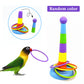 Interactive Parrot Training Toy – Colorful Ring Toss Game