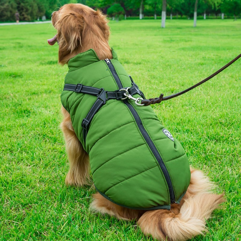 Winter Cotton Vest for Dogs – Chest & Back Integrated Design - Paw & tail