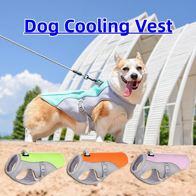 Breathable Dog Cooling Vest – Stay Cool in Hot Weather - Paw&TailUsa