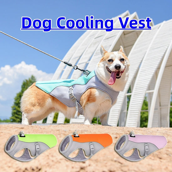 Breathable Dog Cooling Vest – Stay Cool in Hot Weather - Paw&TailUsa