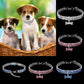 Bling Rhinestone Collar for Dogs & Cats