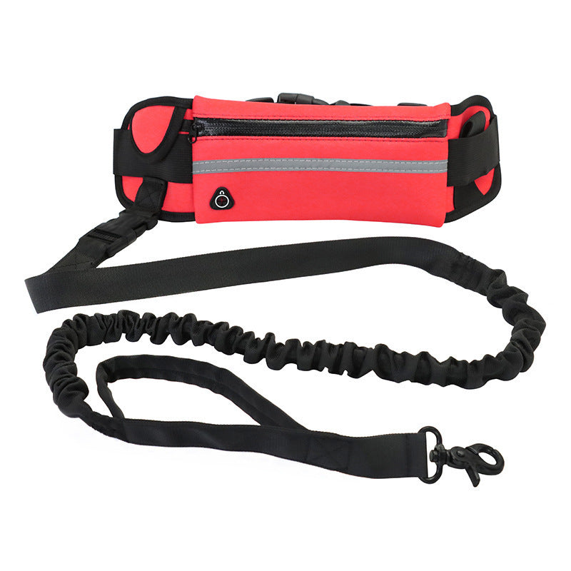 Hands-Free Dog Leash with Bungee for Large Dogs - Paw & tail