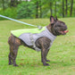 Breathable Dog Cooling Vest – Stay Cool in Hot Weather - Paw&TailUsa